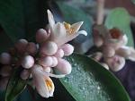     
: DSC03763.jpg
: 14
:	82.7 
ID:	6133439