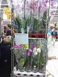     
: IMG951.jpg
: 9
:	124.6 
ID:	6134254