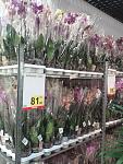     
: IMG953.jpg
: 11
:	131.9 
ID:	6134255