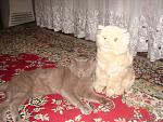     
: DSC02485.jpg
: 68
:	198.0 
ID:	613473