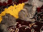     
: DSCN3123.jpg
: 18
:	189.6 
ID:	6136084