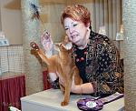     
: Garf4.jpg
: 31
:	129.9 
ID:	613866