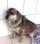     
: pQeKe_VBu4Y.jpg
: 113
:	33.9 
ID:	6140660