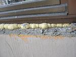     
: IMG_1811.jpg
: 68
:	154.0 
ID:	6141554
