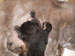     
: DSCN3135.jpg
: 7
:	228.4 
ID:	6142870