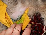     
: DSCN3131.jpg
: 14
:	160.6 
ID:	6142977