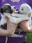     
: IMG_9817.jpg
: 5
:	152.8 
ID:	6144438