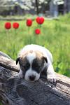     
: IMG_9829.jpg
: 6
:	189.9 
ID:	6144439