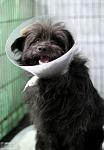     
: IMG_8730дд.jpg
: 10
:	28.2 
ID:	6144818