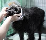     
: IMG_8720жж.jpg
: 15
:	26.9 
ID:	6144819