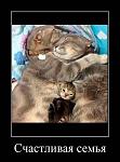     
: tTkGHZwVukw.jpg
: 5
:	39.0 
ID:	6145268
