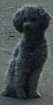     
: IMG_1553.JPG
: 9
:	31.2 
ID:	6145886