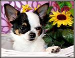     
: 2BLPR5KwXk0.jpg
: 11
:	107.6 
ID:	6150754