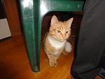     
: attachment (4).jpg
: 12
:	18.8 
ID:	6154583