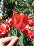     
: IMG_3995 - копия.JPG
: 6
:	59.7 
ID:	6154733