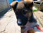     
: IMG_0010.JPG
: 7
:	52.8 
ID:	6156751