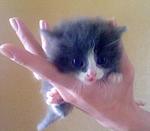     
: Фотография 2013-04-20 в 14.jpg
: 16
:	83.1 
ID:	6156835