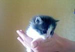     
: Фотография 4.jpg
: 13
:	82.1 
ID:	6156836