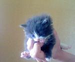     
: Фотография 04-20 в 14.jpg
: 17
:	80.8 
ID:	6156837