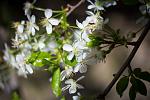     
: ykcVbX9pk68.jpg
: 10
:	150.9 
ID:	6159785