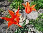     
: SAM_0281.JPG
: 6
:	138.0 
ID:	6161065