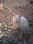     
: 20130429_184940.jpg
: 10
:	169.5 
ID:	6162247