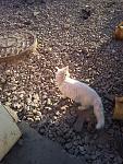     
: 20130429_184914.jpg
: 10
:	190.7 
ID:	6162259