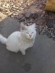     
: 20130429_184845.jpg
: 13
:	110.2 
ID:	6162273