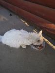     
: 20130429_184638.jpg
: 10
:	76.5 
ID:	6162301