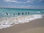     
: IMG_8982.jpg
: 72
:	143.2 
ID:	6162567