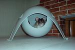     
: DSC04756.jpg
: 23
:	89.7 
ID:	6163404