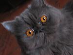    
: IMG_0362.jpg
: 6
:	95.0 
ID:	6163409