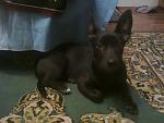     
: 9LLmzYhFq6c.jpg
: 9
:	113.6 
ID:	6166143