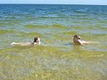     
: P1080300.jpg
: 17
:	110.9 
ID:	6171631
