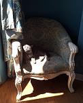     
: 2013-04-23 11.50.09.jpg
: 7
:	95.8 
ID:	6171911
