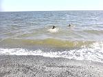     
: IMG402.jpg
: 20
:	218.1 
ID:	6171958