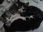    
: 2013-05-02 16.10.08.jpg
: 13
:	91.6 
ID:	6172619