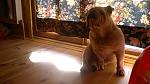     
: 2013-05-02-2807.jpg
: 35
:	105.5 
ID:	6172694