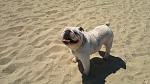     
: 2013-05-01-2791.jpg
: 27
:	136.3 
ID:	6172700