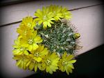     
: dffa34ab2d9e.jpg
: 5
:	57.1 
ID:	6174579
