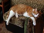     
: DSC06765.JPG
: 13
:	108.2 
ID:	6174729