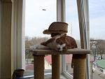    
: DSC06747.JPG
: 5
:	82.2 
ID:	6174731