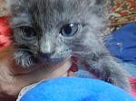     
: DSCN3720.JPG
: 5
:	46.0 
ID:	6175557