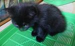     
: DSCN3747.JPG
: 4
:	45.5 
ID:	6175558