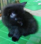     
: DSCN3749.JPG
: 3
:	26.7 
ID:	6175563
