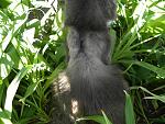     
: DSCN5752.jpg
: 18
:	138.1 
ID:	6175981
