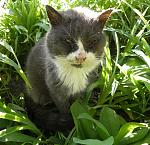     
: DSCN5751.jpg
: 19
:	124.0 
ID:	6175985