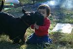     
: y_97773d52.jpg
: 11
:	69.1 
ID:	6176592