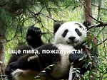     
: friday_16.jpg
: 22
:	77.1 
ID:	617725