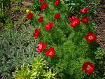     
: ca_knliaUvM.jpg
: 5
:	91.2 
ID:	6177739
